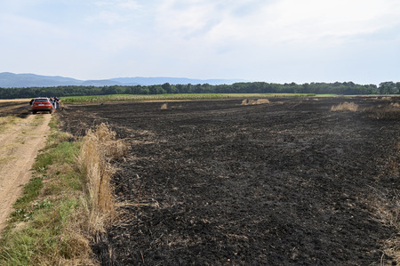 Ogled pogorišča Kerinov Grm 